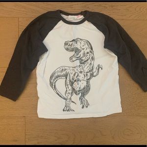 ZARA- toddler boys dinosaur top